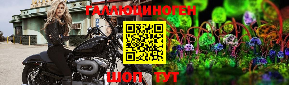 Галлюциногенные грибы Magic Shrooms  Псилоцибиновые грибы MAGIC MUSHROOMS  Удомля  Вход с VPN 